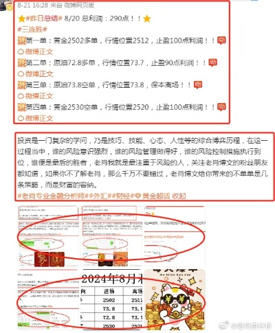三肖精准100免费资料|揭秘财富增长的秘密策略_视频集.4.859