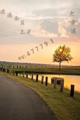 2024新澳门天天开好彩大全正版|预测分析解释落实_弹性品.7.609
