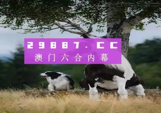 2024今晚澳门跑狗图|实地分析解释落实_限定版.4.463